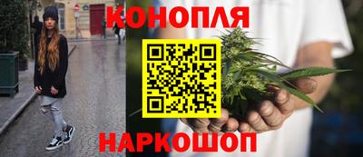 хмурый Тара