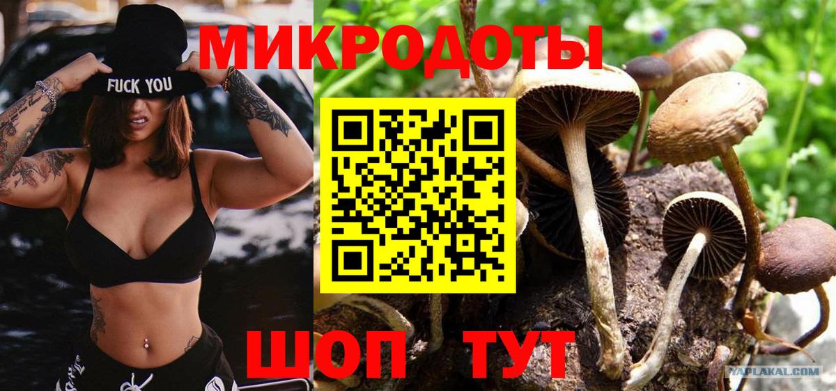 Псилоцибиновые грибы GOLDEN TEACHER Нягань